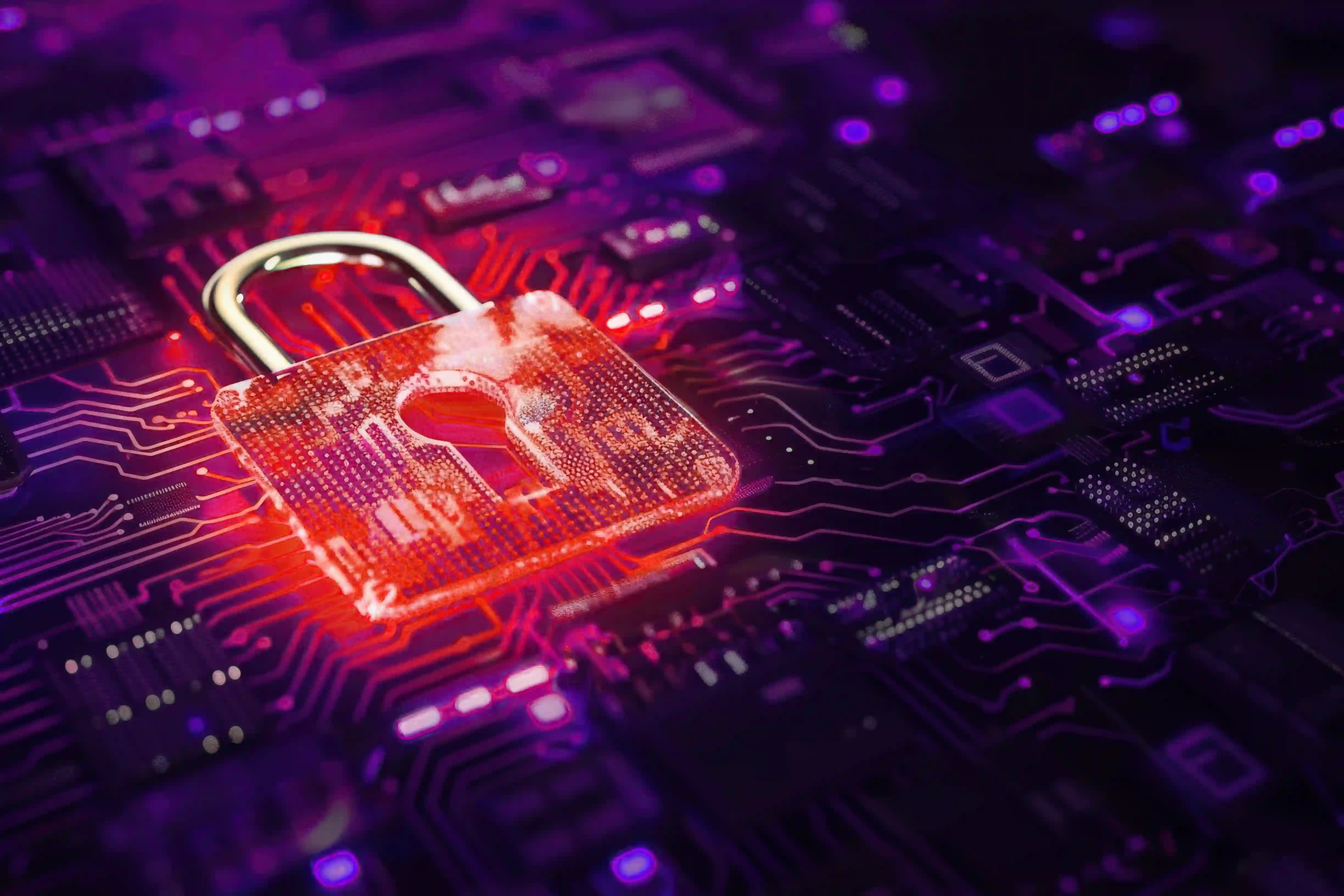 Data Breaches Surge Across All Sectors, Exposing Sensitive Data and Reducing Digital Trust